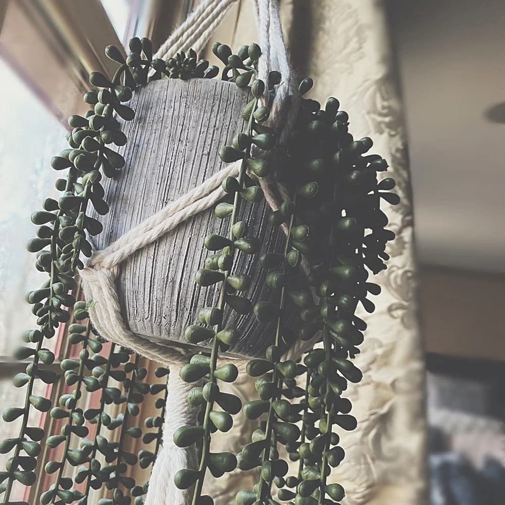 Handcrafted Macramé Succulent Hanger Rustic Clay Pot & Faux Pearls